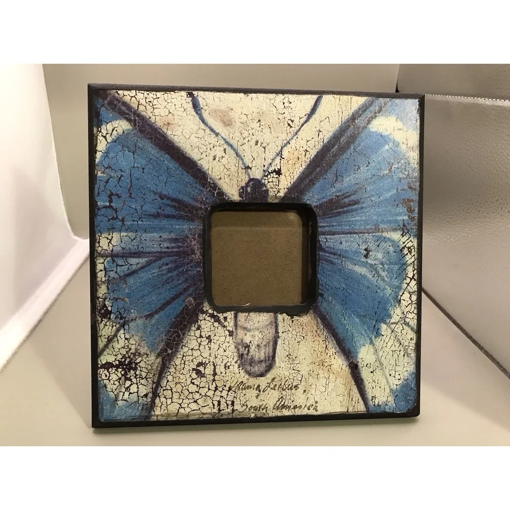 Picture Frame From South America Butterfly 2.5x2.5‎ Picture Opening 8x8 Frame